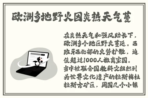 厕拍大神最经典的作品